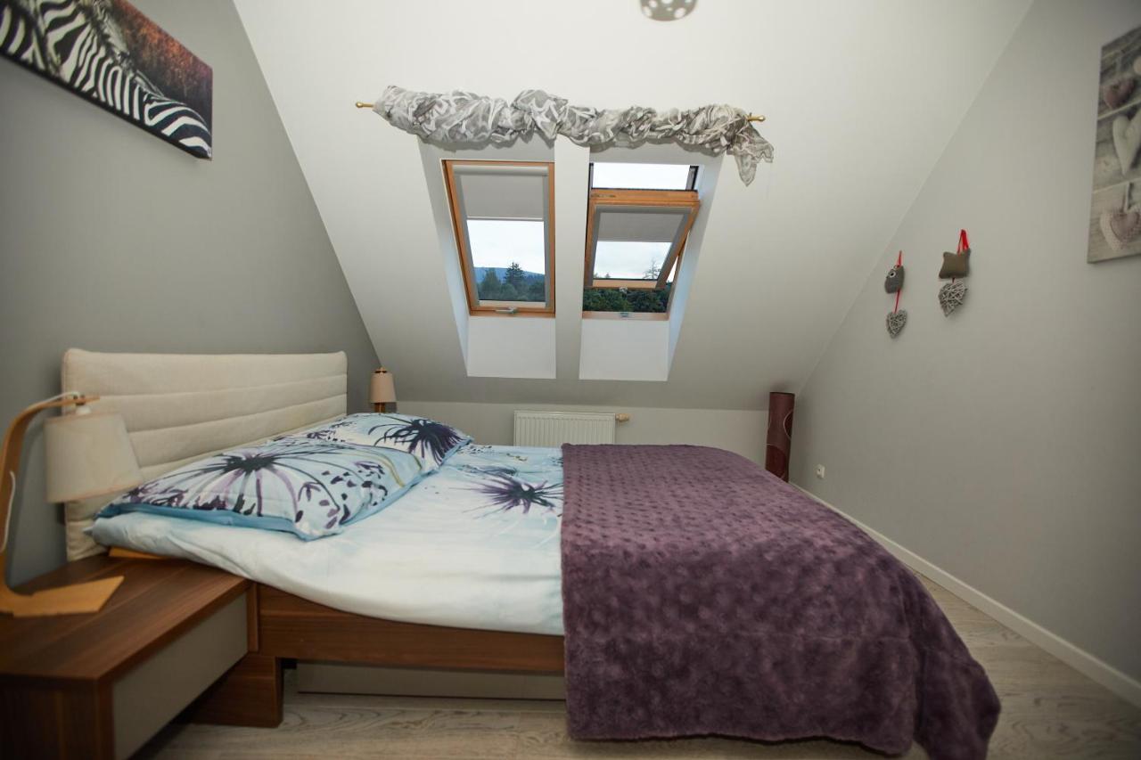 Apartamenty Nad Lomniczka-Malachit 卡尔帕奇 外观 照片