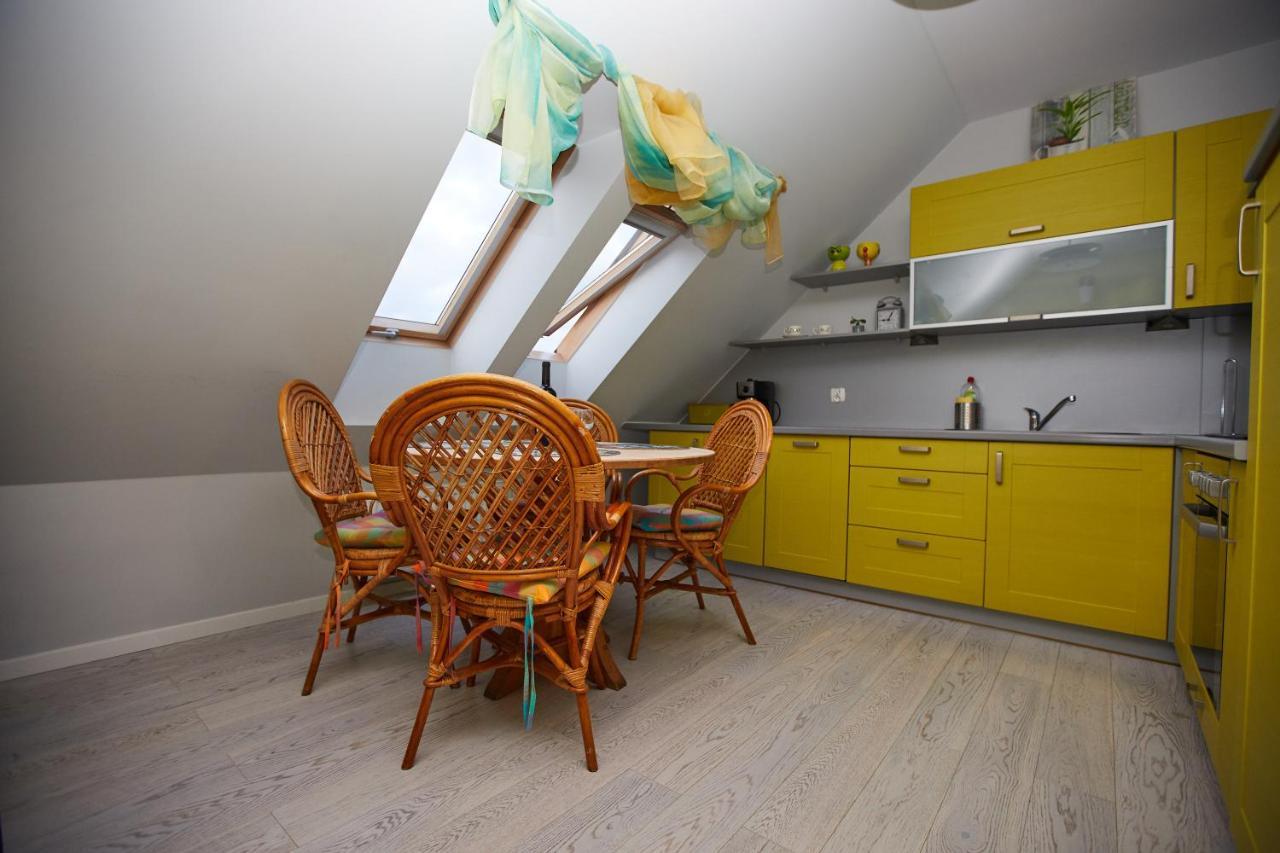 Apartamenty Nad Lomniczka-Malachit 卡尔帕奇 外观 照片